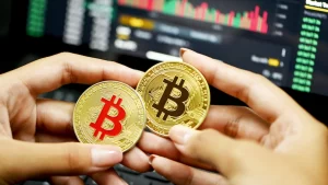 e-readmedia-Bitcoins-Recent-Drop-Has-Highlighted-The-Risks-of-a-Cryptocurrency-Bubble-Bitcoin