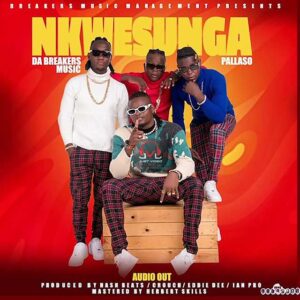 e-readmedia-Nkwesunga-By-Pallaso-Ft-Da-Breakers-MP3-Download