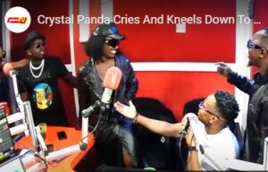 Crysto Panda Asks Lydia Jazmine To Be His Valentine's Day