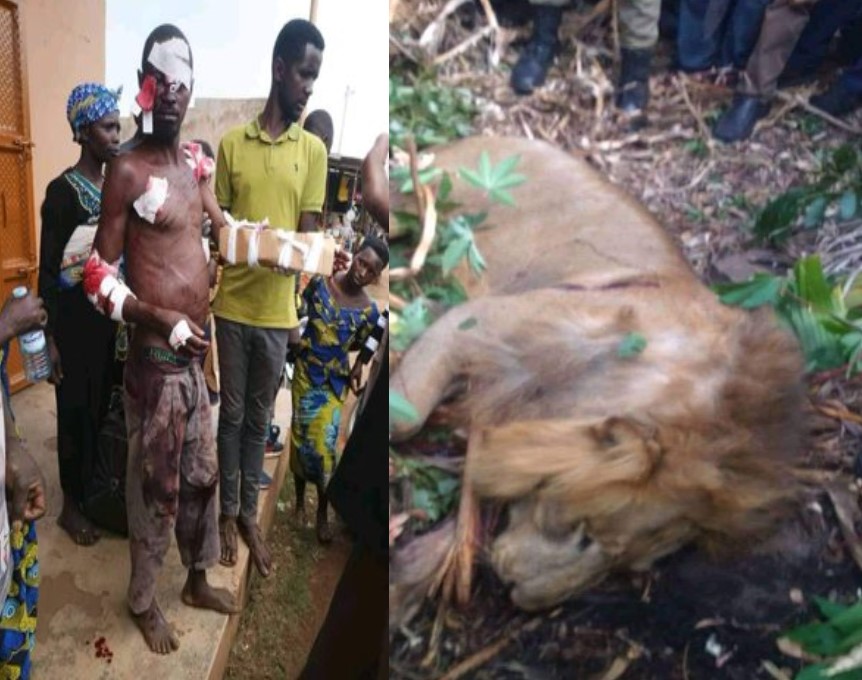 A Local Man Kills a Lion