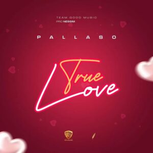 True Love By Pallaso MP3 And Video Download