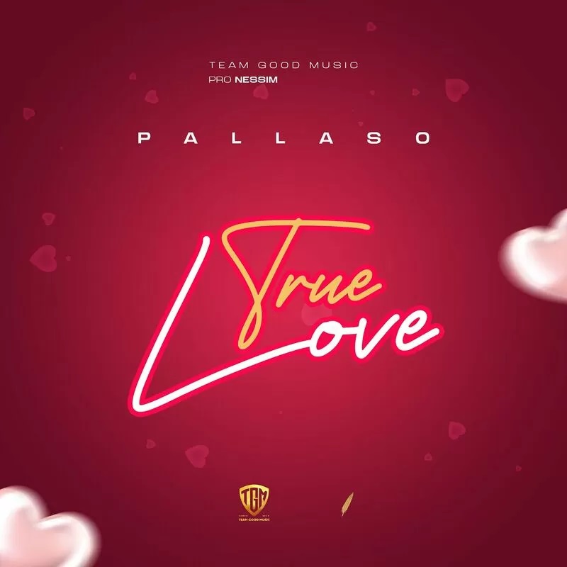 True Love By Pallaso MP3 And Video Download