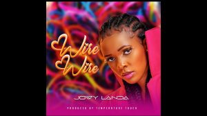 Wire Wire By Jowy Landa MP3 Download