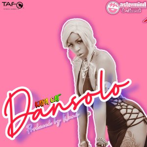 Dansolo By Kapa cat MP3 and Video Download